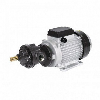 561611 Насос электрический Samoa (Масло)
